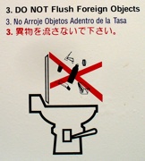 P1070057.JPG